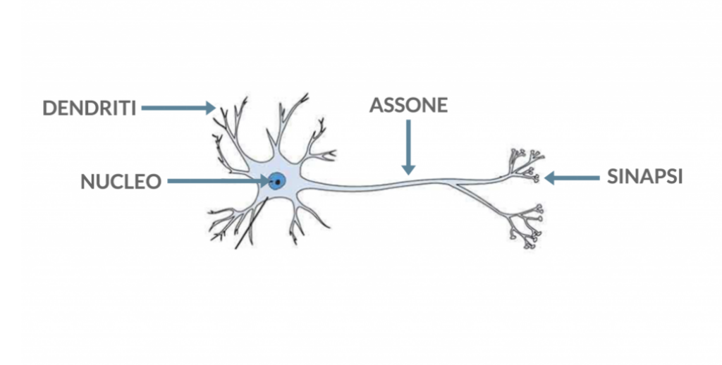 Deep Learning Dendriti sinapsi ProfessionAI